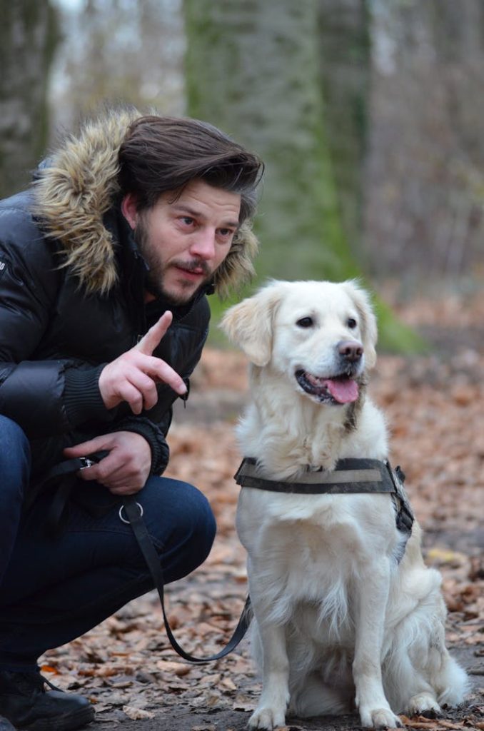 A man interacts with a Golden Retriever dog in a vibrant, autumn forest setting.